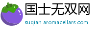 国士无双网